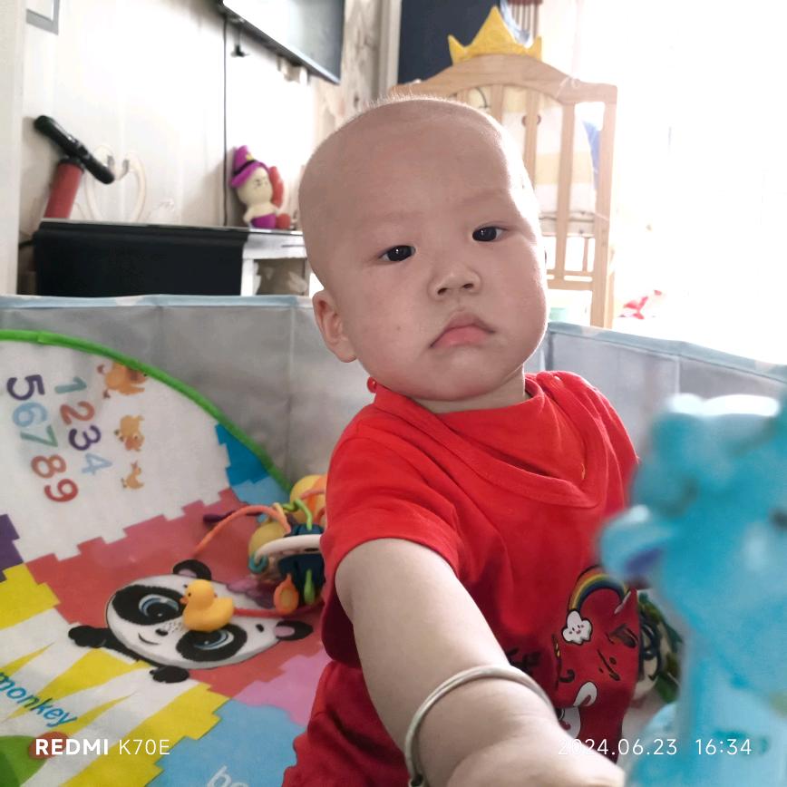 小羊洋