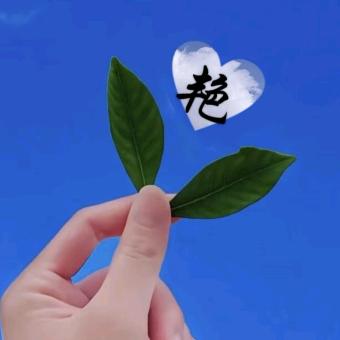 💞᪲ღ凤