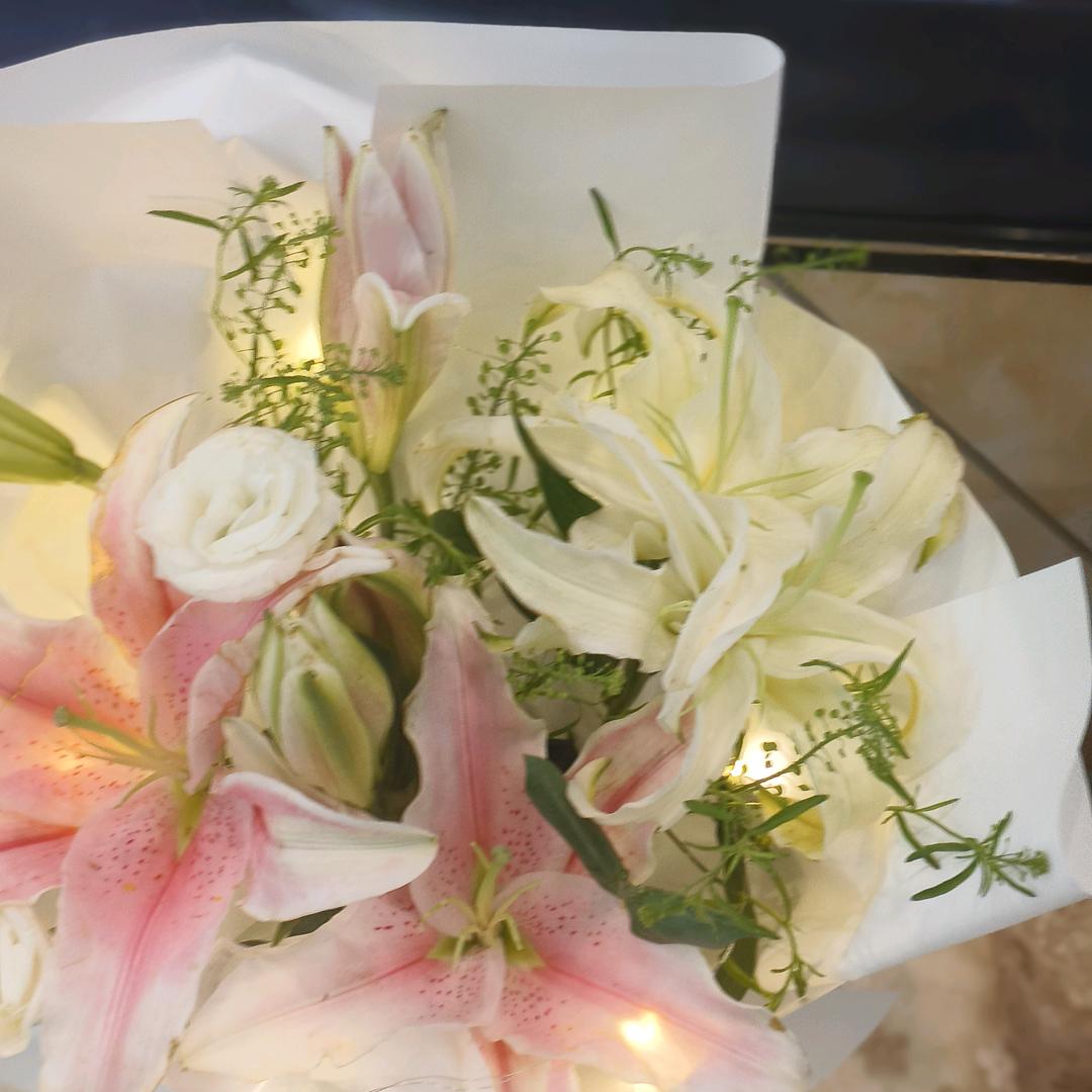 小菊
