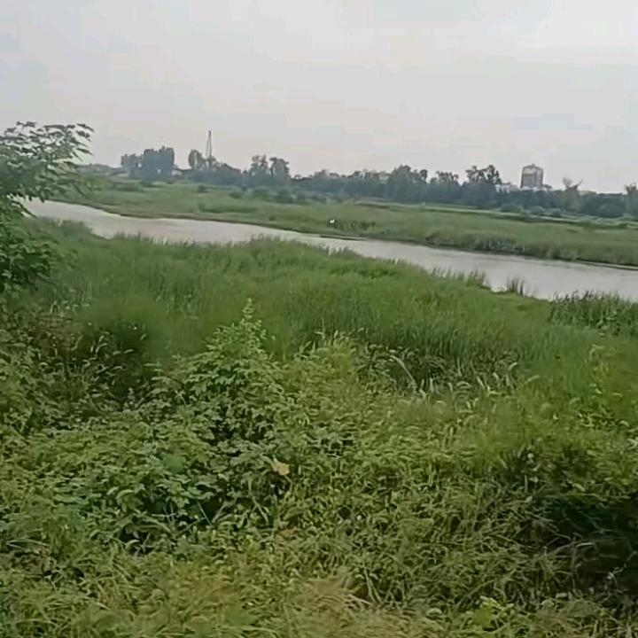 环境策化