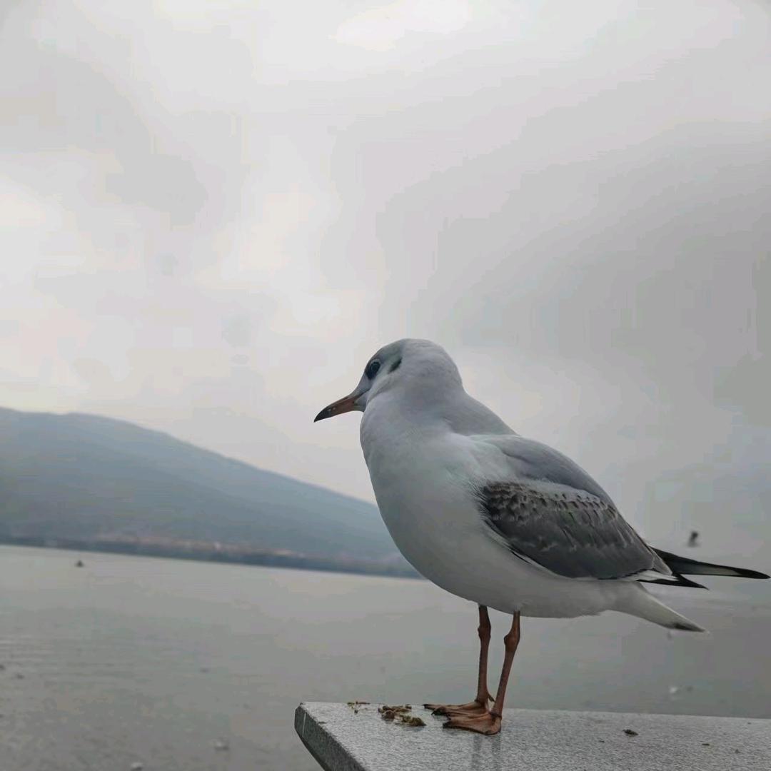 钱难友