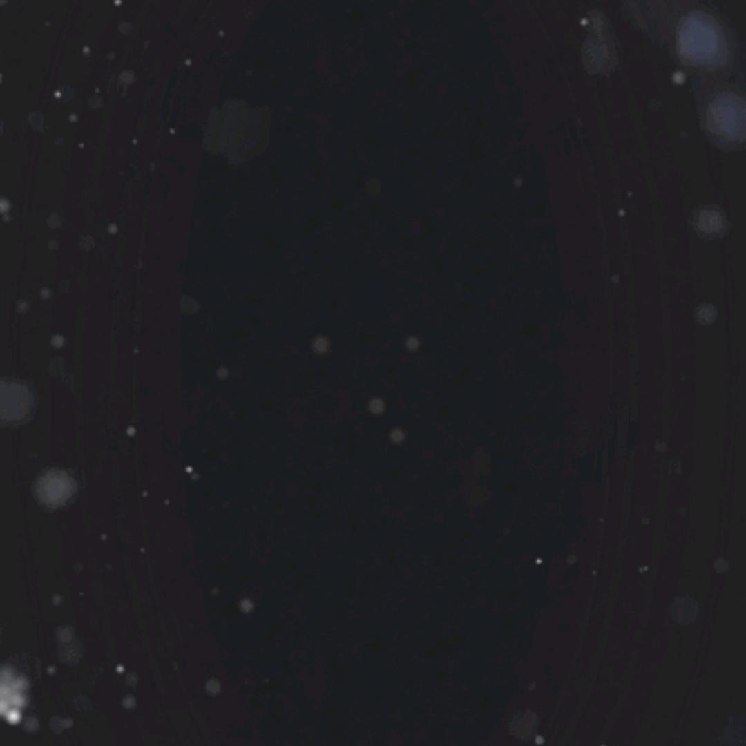 抖音抖音