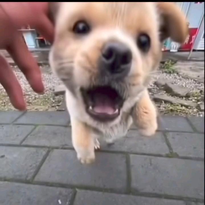 呦，小鬼啊