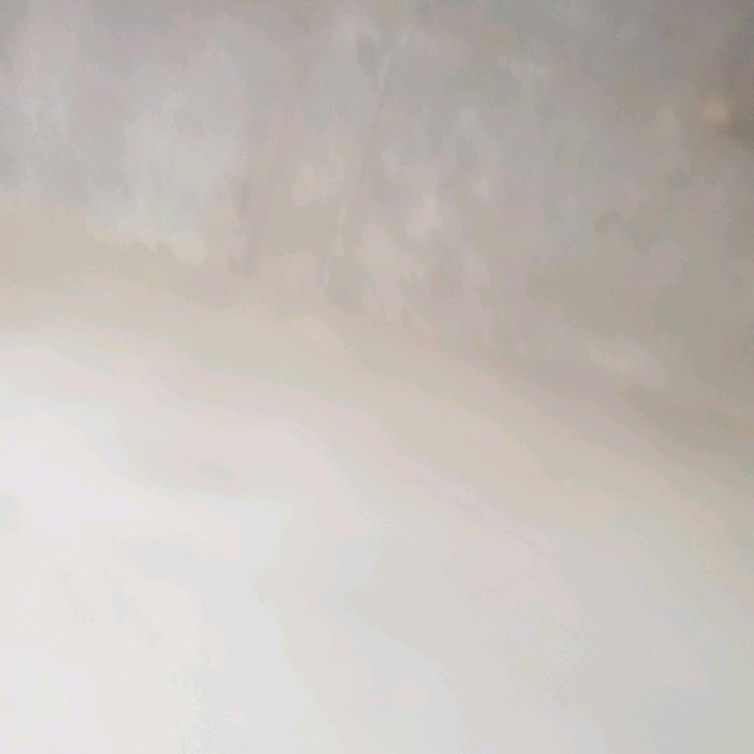 一只秀雨