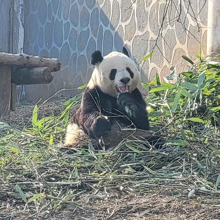 嘿就是玩