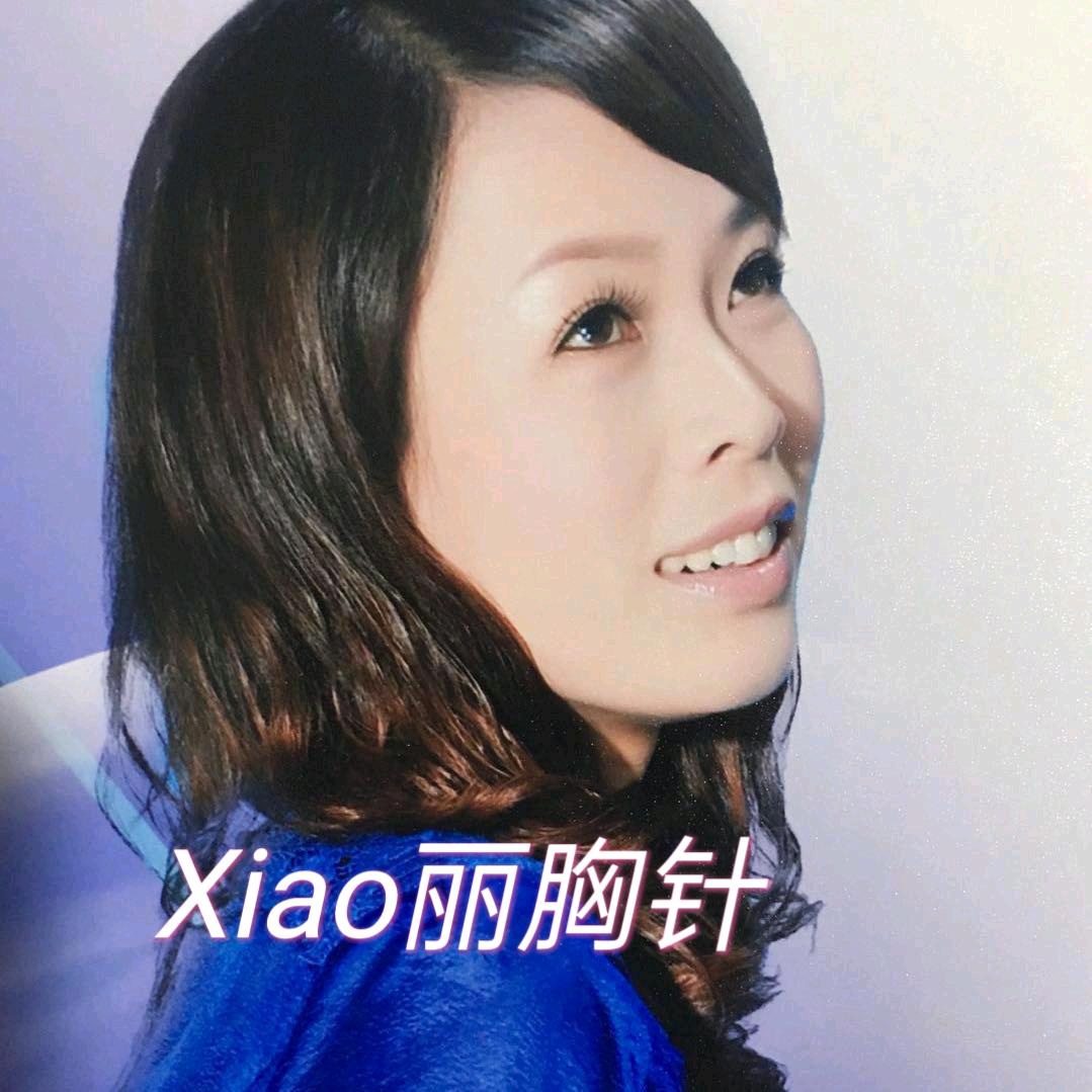 Xiao丽轻奢胸针