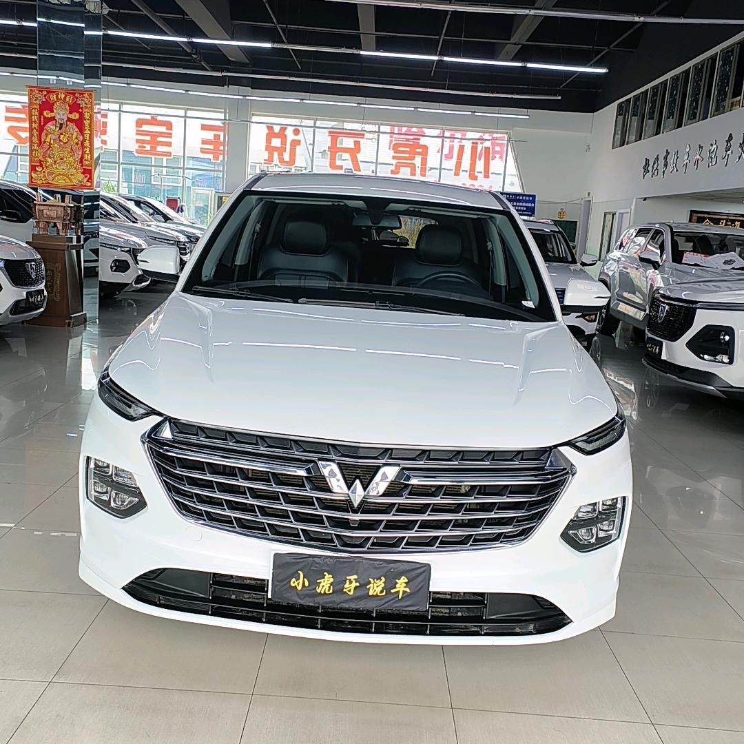 杨大拿说车