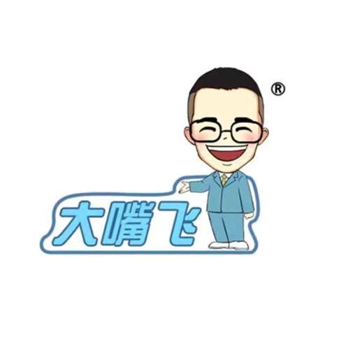 大嘴飞思维家教云
