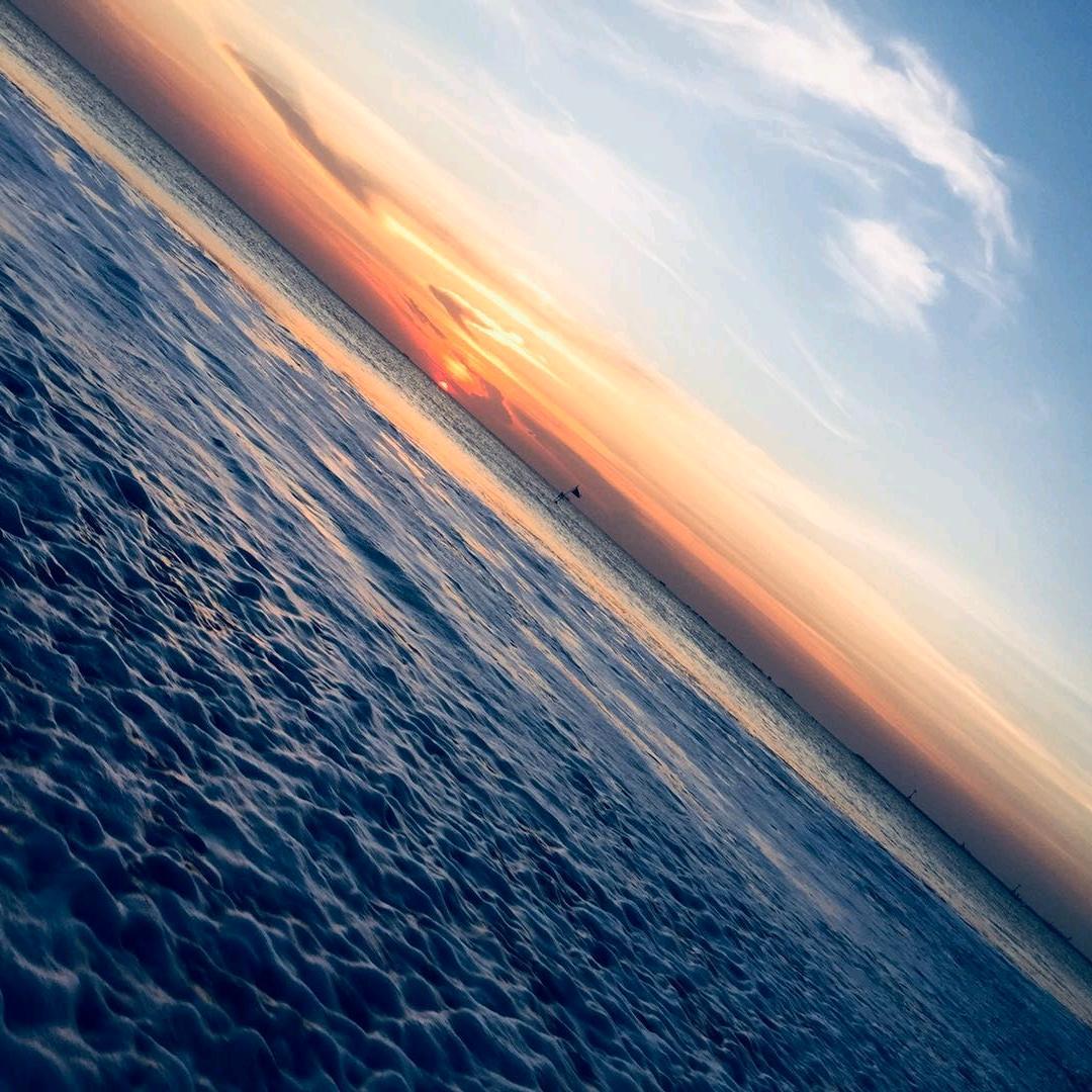老海