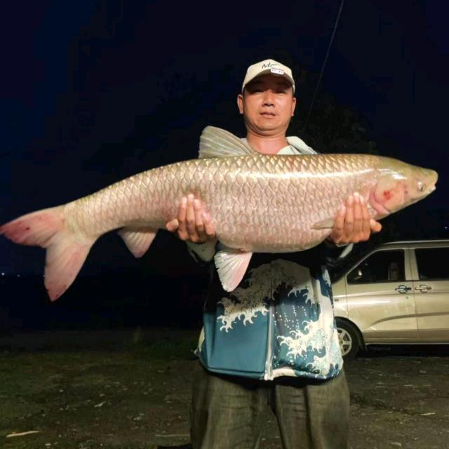 豆哥钓鱼🎣日记