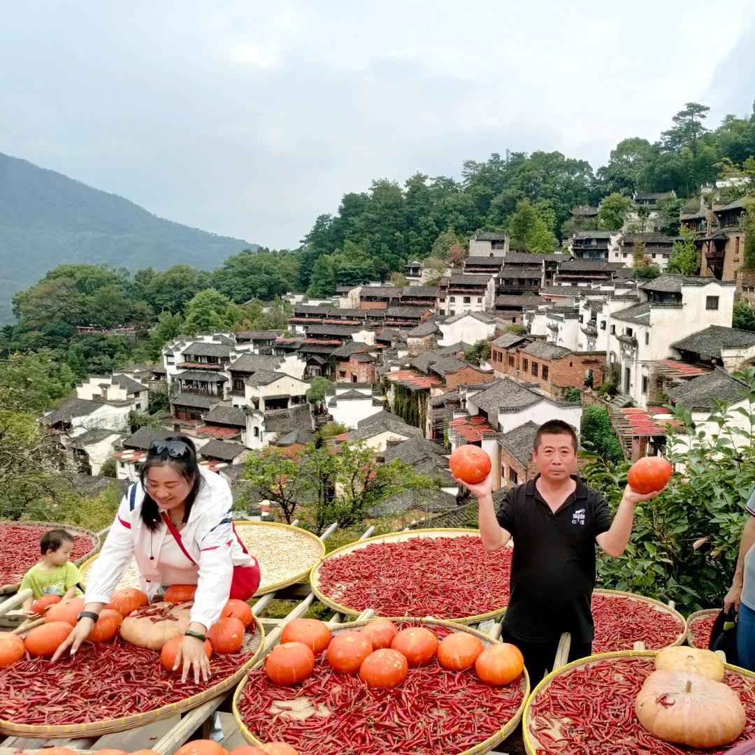 小马哥黄瓜高产种植方案