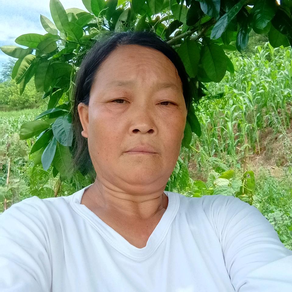 丁大姐
