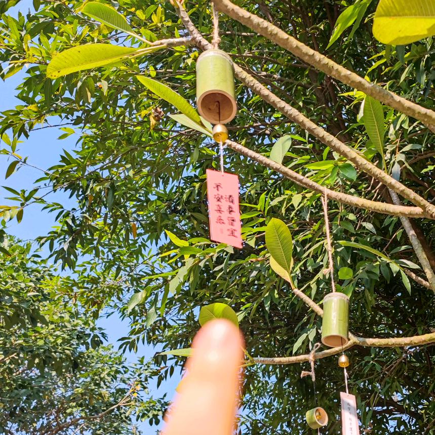 随时爆炸💥