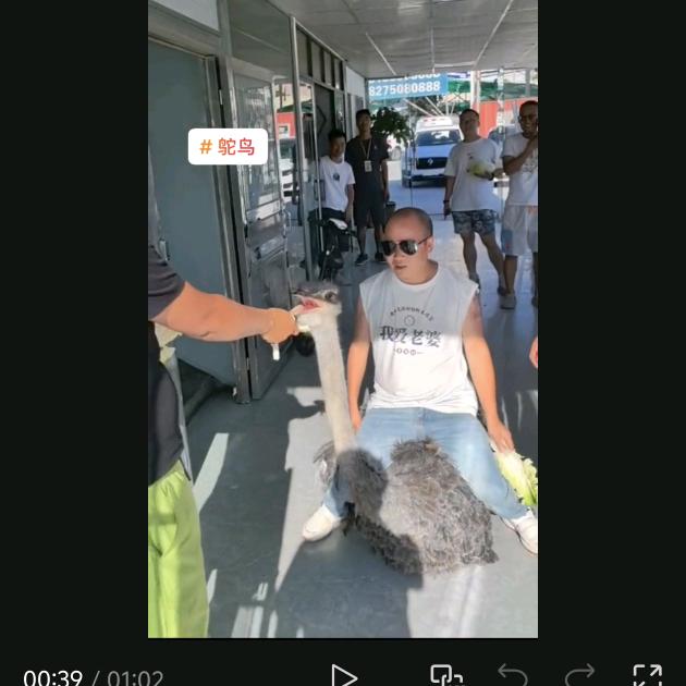匠心赢二手车李总
