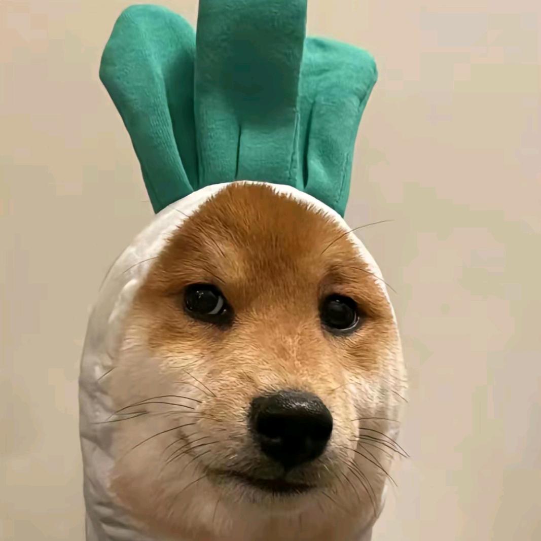 狗神（北科校草）