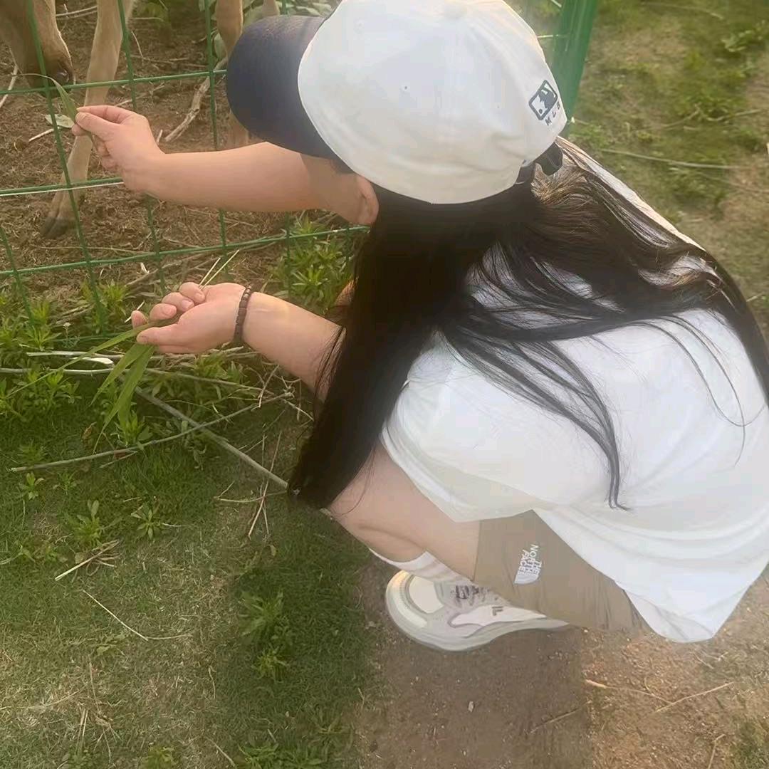婉清
