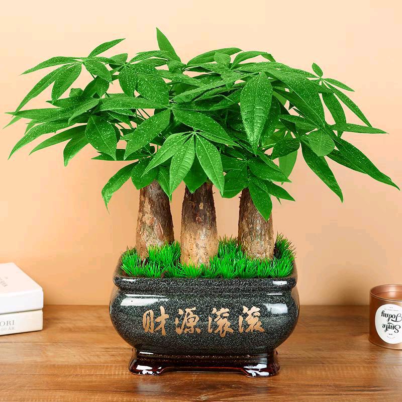 A福易缘