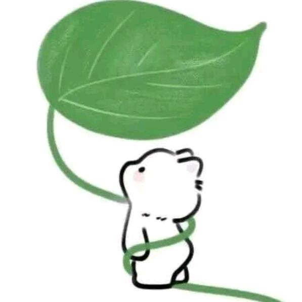 二妹助力号