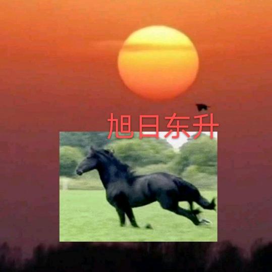 A！斌哥
