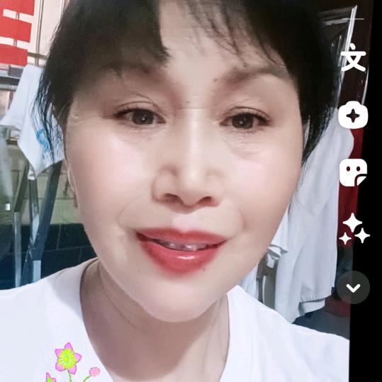 河南凤凰