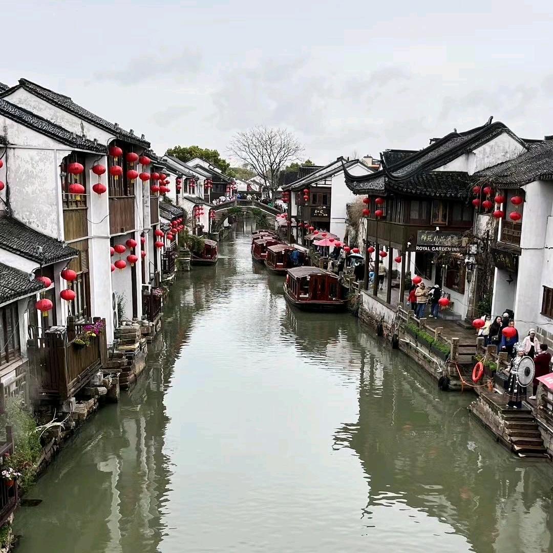 小马哥