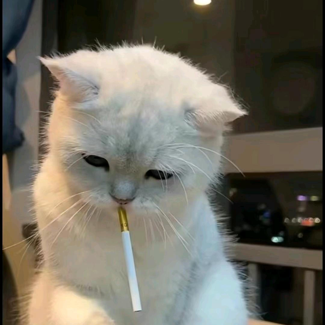 海深不蓝