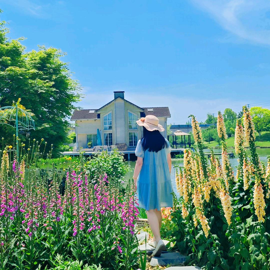 果果