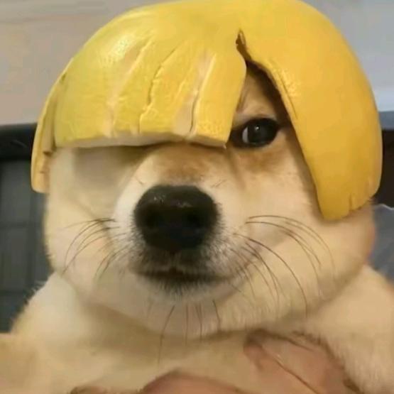 找不着北