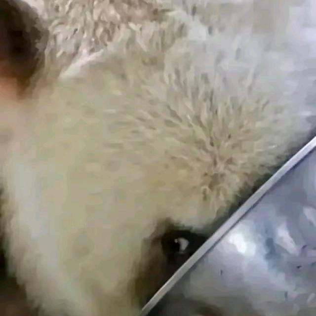 留白～