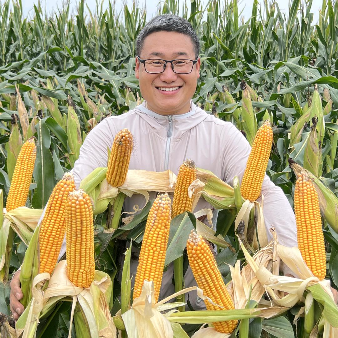 国投丰乐玉米嘉玉营销中心