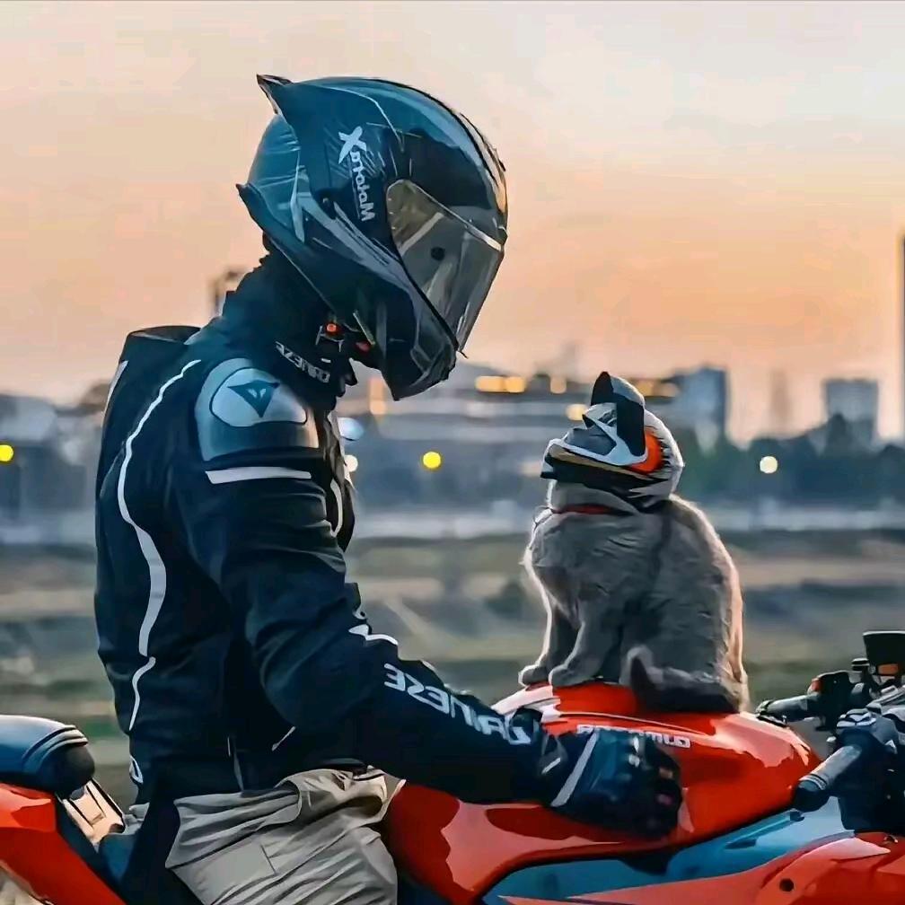 勿忘王