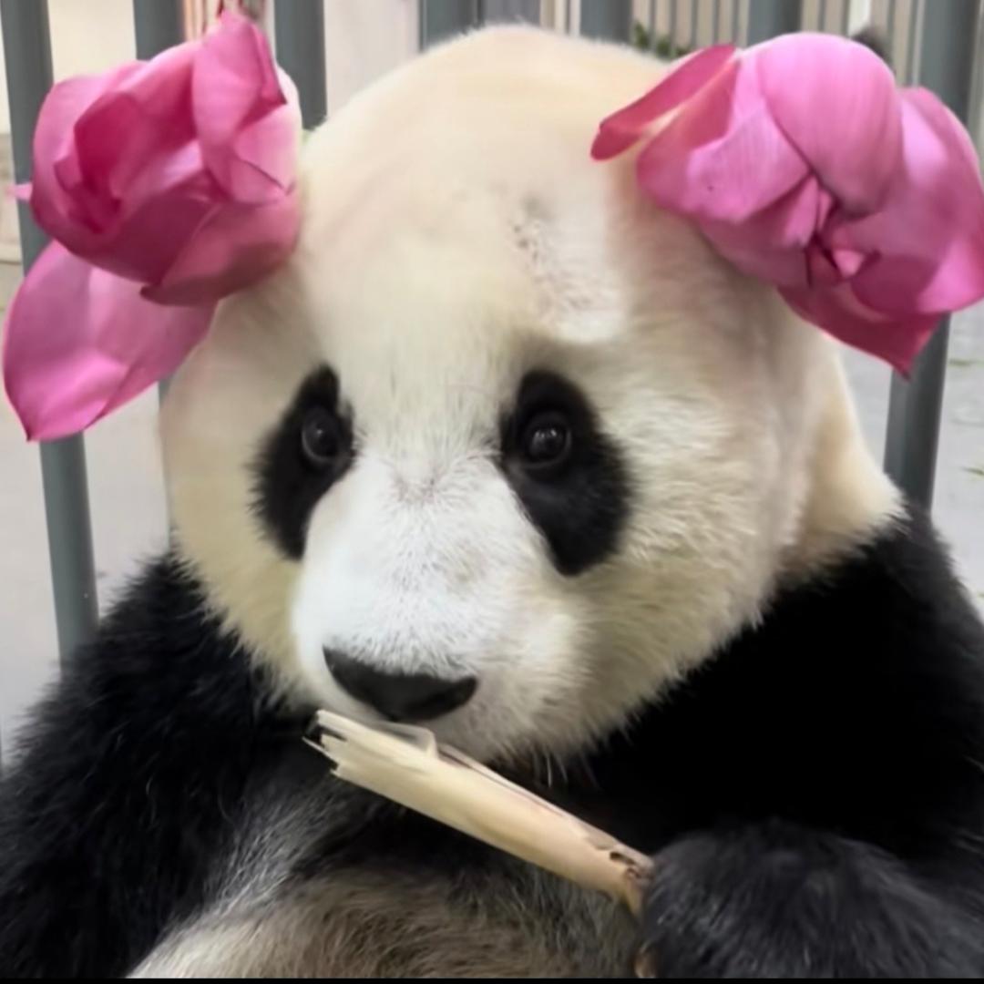 腰哥就是田梦梦吖♒️