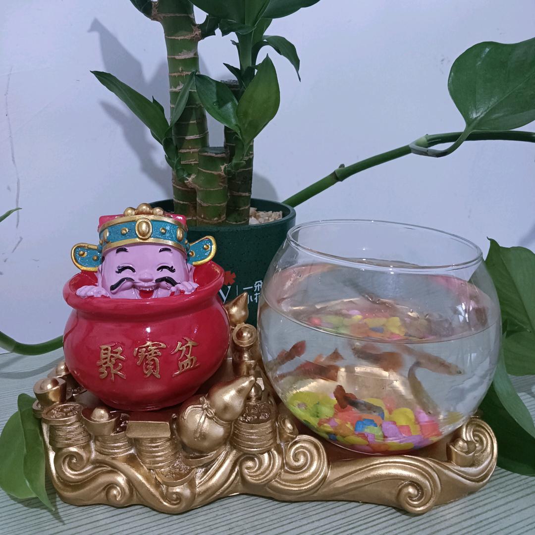 三姐好物分享