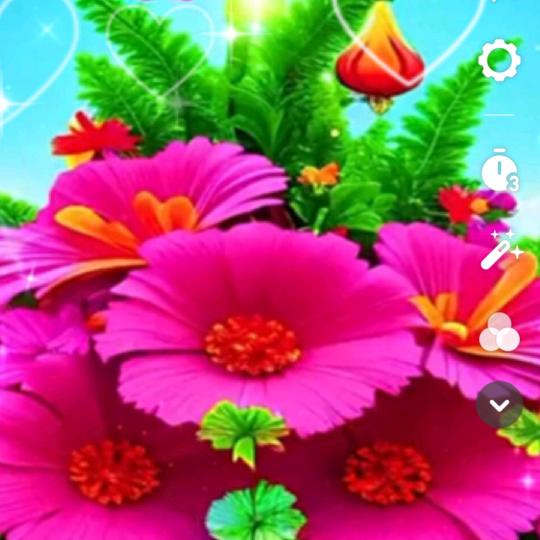 兰花🌺 91733