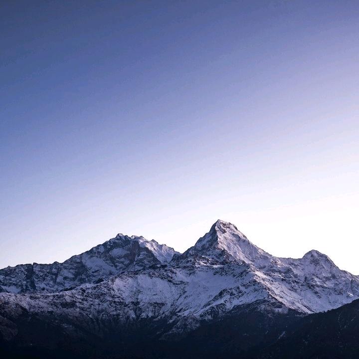 伯樂