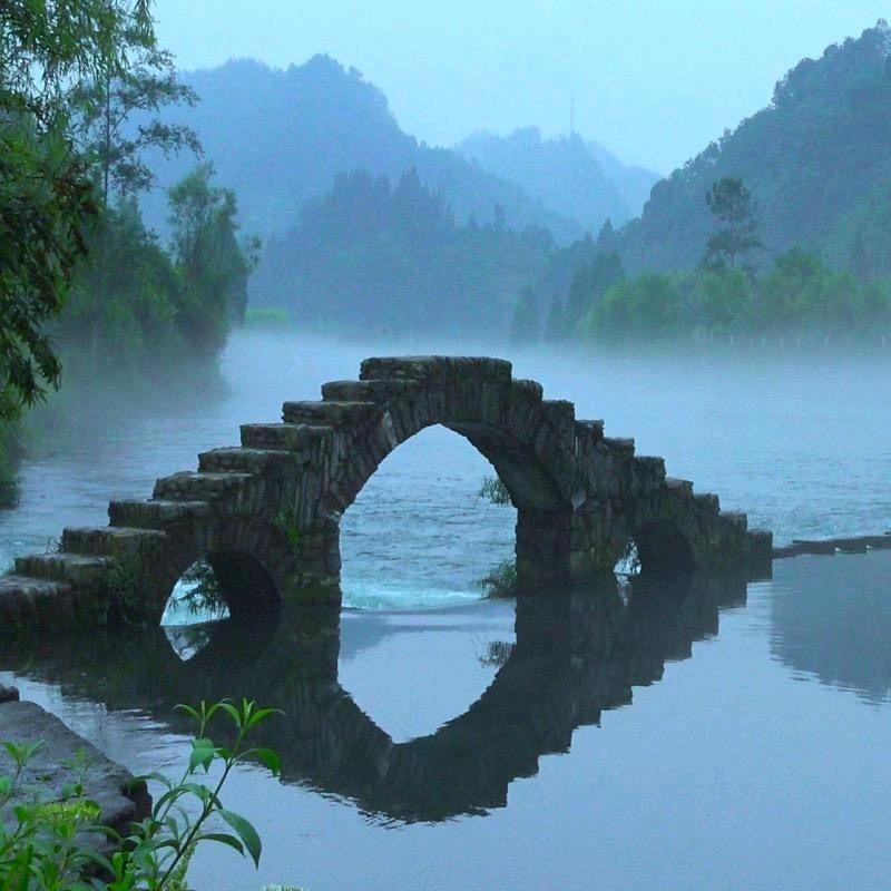 爛龖記助理号