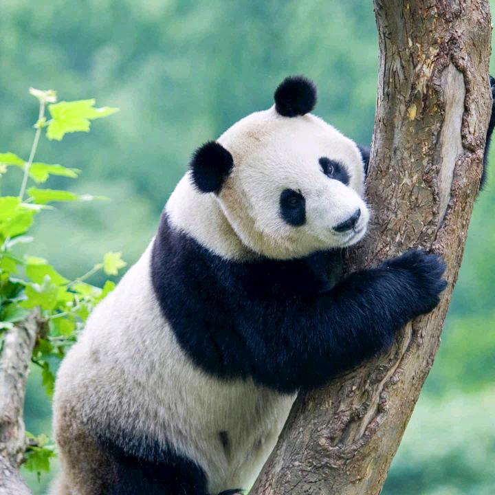 亮丽人生