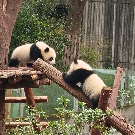 告别  &  过去