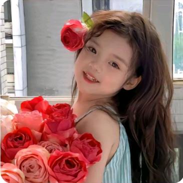 🎀晚晚皆安