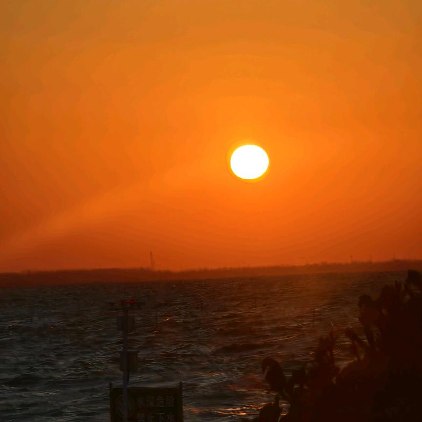今天