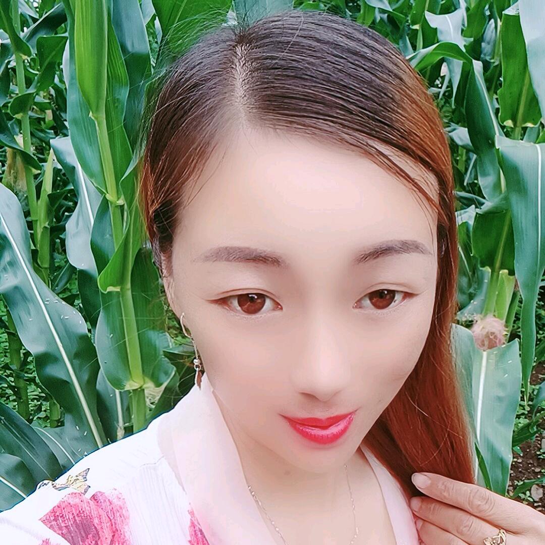 甘肃苦妹儿