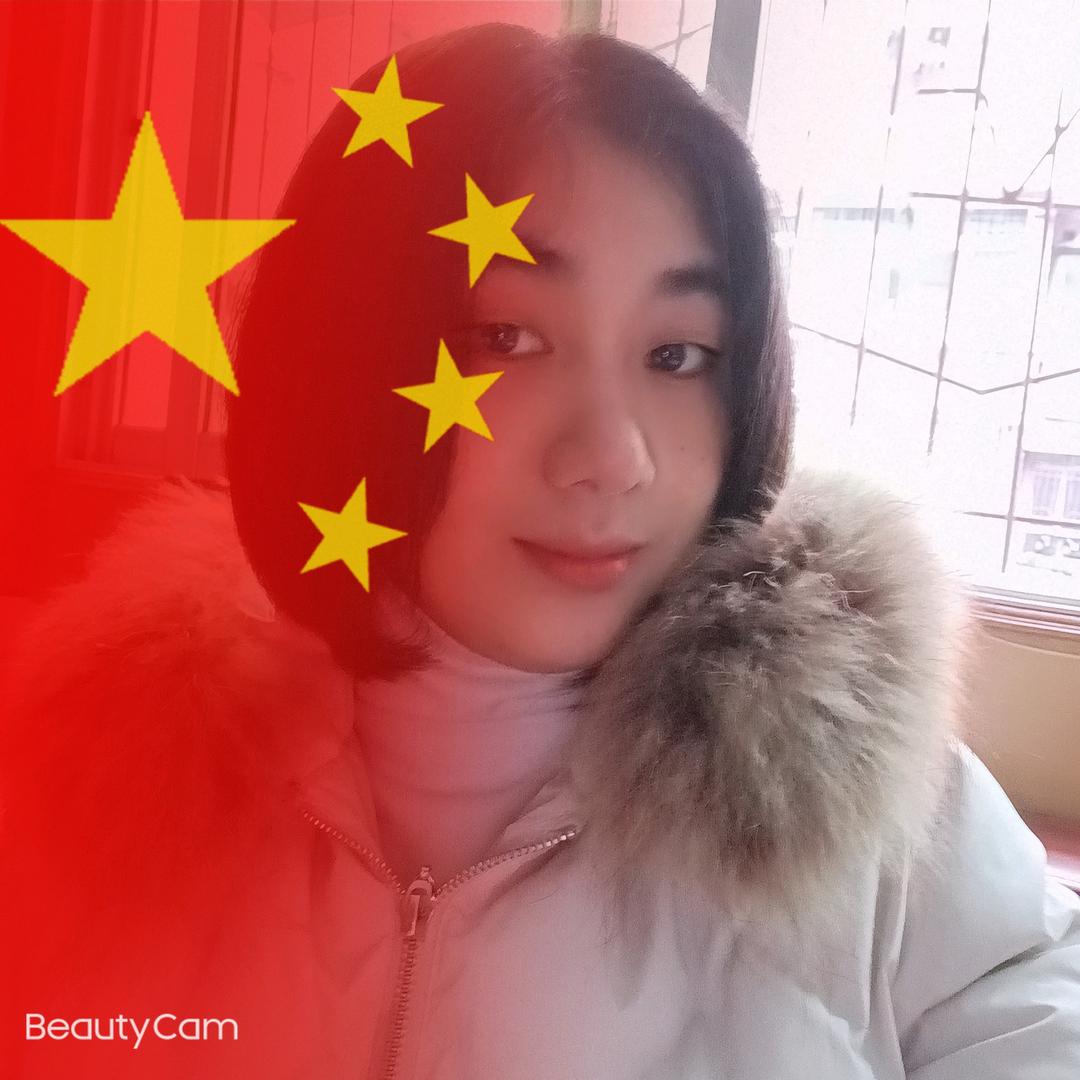 梦琴