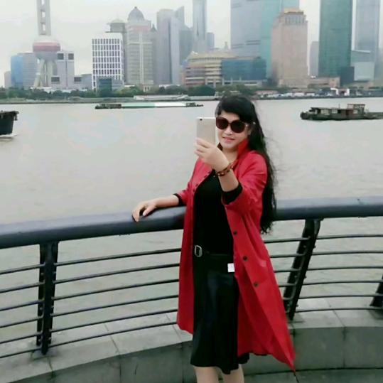 杨七七
