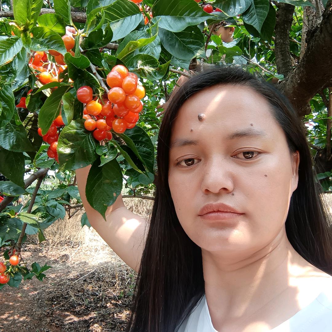 爱的选择