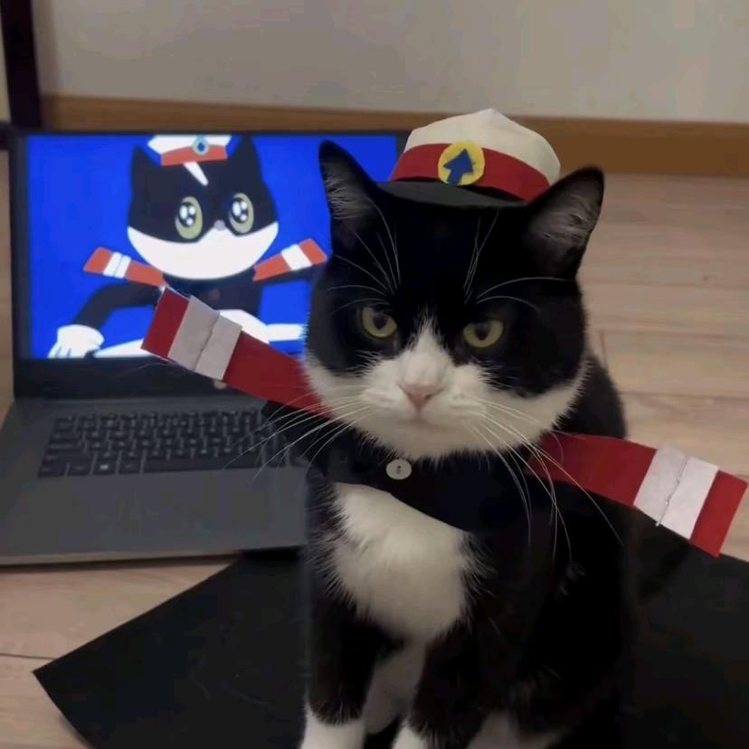 听澜