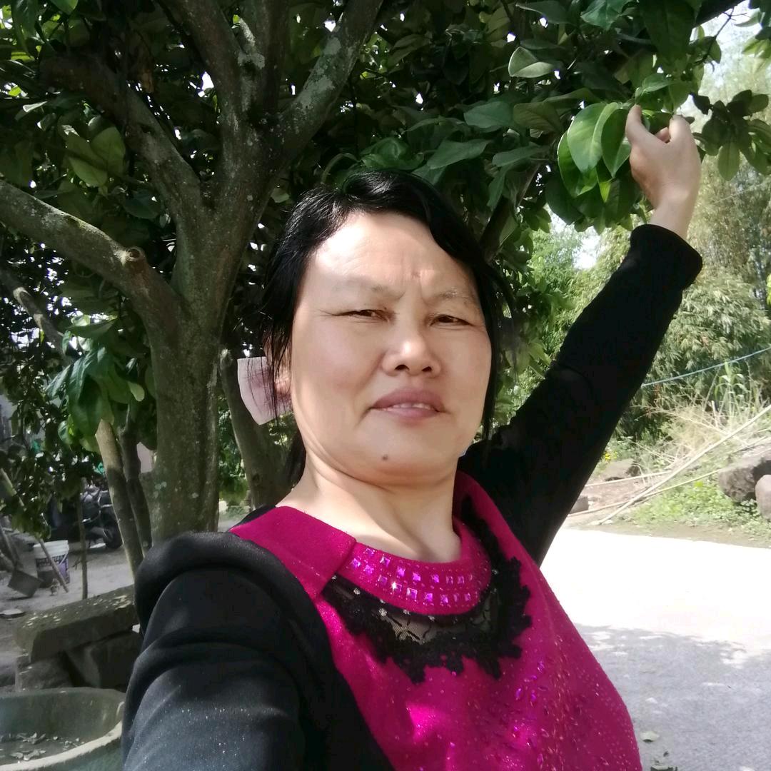 贺姐山歌