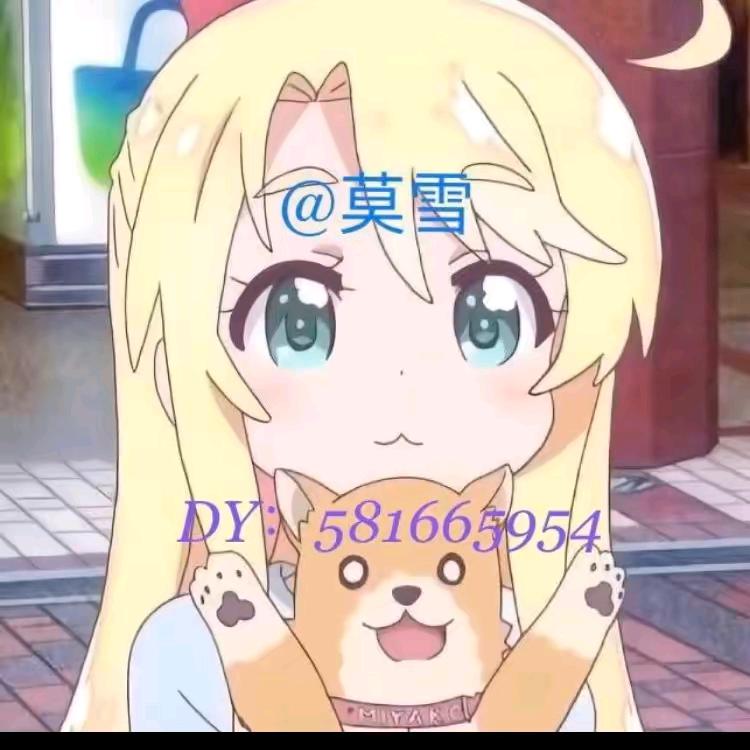 海豚哥