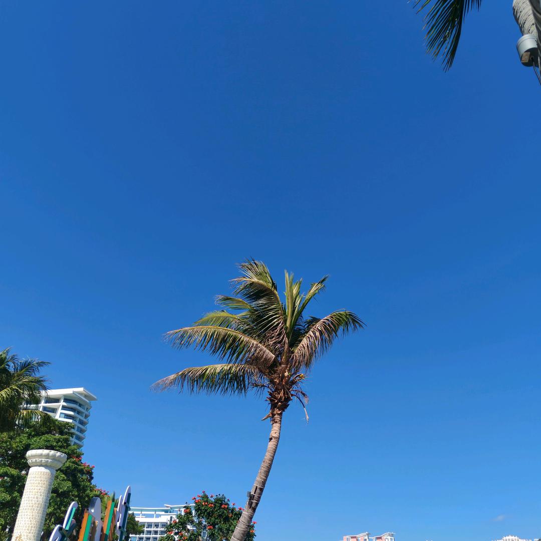 封心锁爱