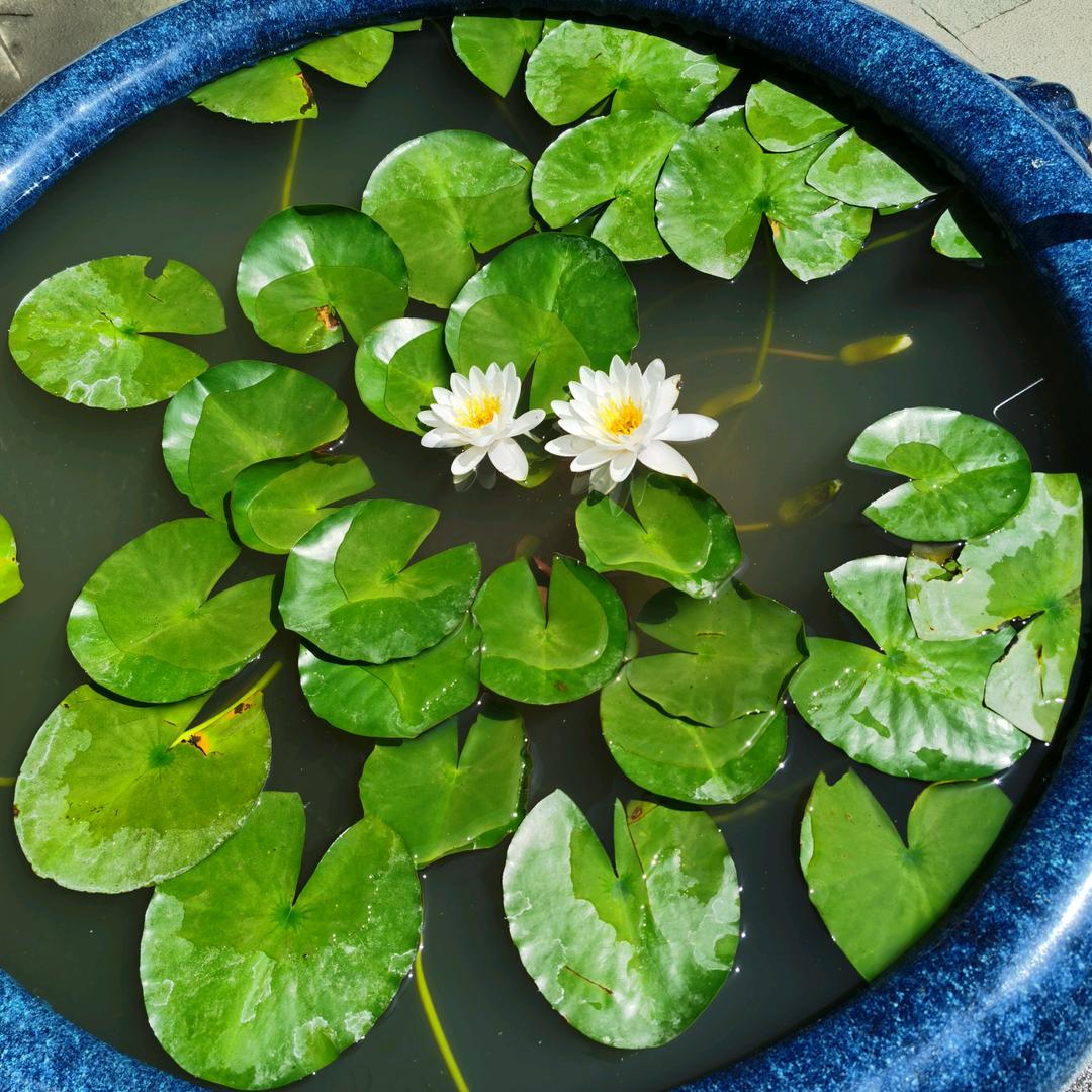 三休