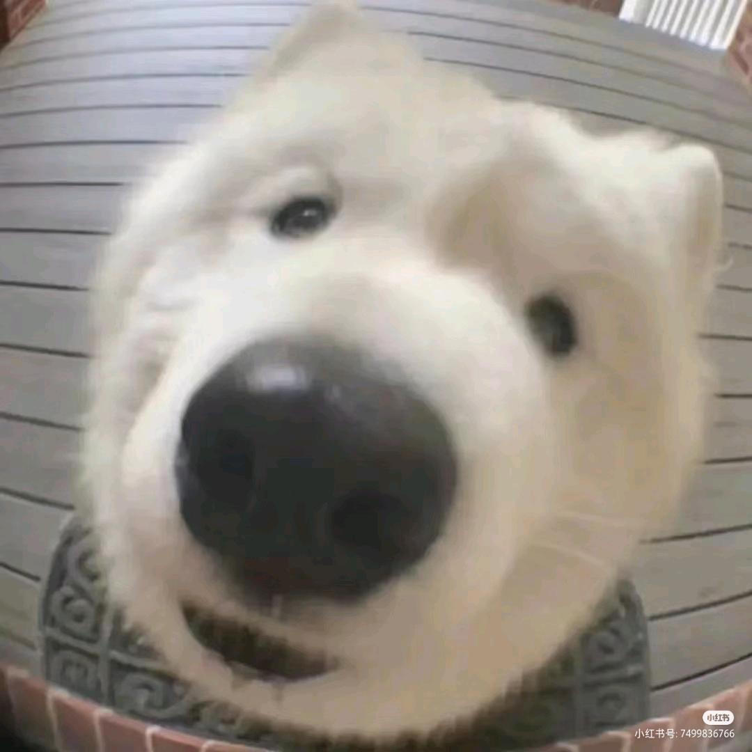 超级棒棒糖